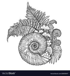 an ink drawing of ferns and flowers on a white background