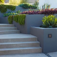 some plants that are sitting in concrete planters on the side of a building with stairs