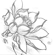 a drawing of a flower with leaves and flowers in the center, on a white background