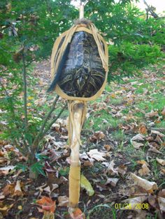 a strange looking object in the middle of some leaves and grass with trees in the background