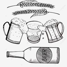 two mugs of beer and some ears of wheat on a white background, drawing, illustration png and psd