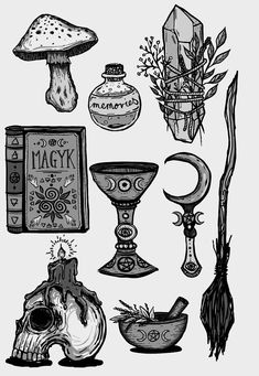 an ink drawing of various items from the book, including mushrooms and other things to draw