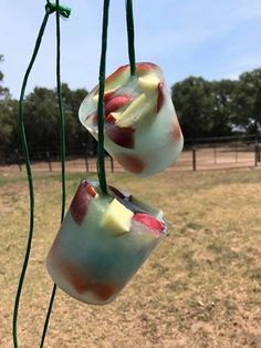 two glass vases hanging from a wire in a field