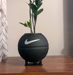 a vase with a plant in it sitting on a table next to a basketball ball