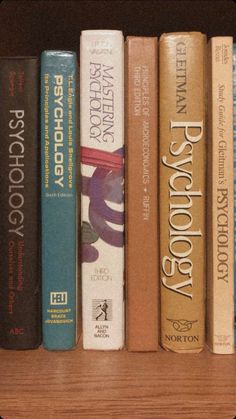 a row of books sitting on top of a wooden shelf