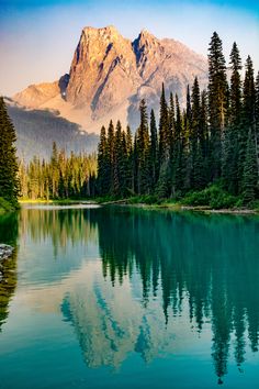 a lake surrounded by pine trees with mountains in the background