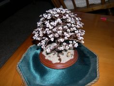 a small bonsai tree sitting on top of a table next to a blue cloth