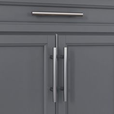 an image of a gray cabinet with two doors