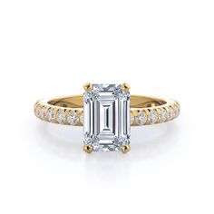 https://embed.imajize.com/5314688 Pave Diamond Engagement Rings, French Cut, Pave Setting, Diamond Engagement Ring, Pave Diamonds, Diamond Rings, Diamond Engagement, Diamond Engagement Rings, Engagement Ring