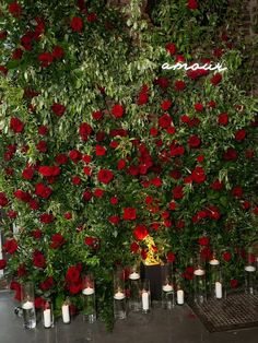 roses and candles are arranged in rows on the floor next to each other, surrounded by greenery