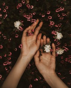 Empaths: What Are They And How To Deal With Being One | #esoteric #empath #energy #sensitivity #intuition #healer #healing #balancing #hands #flowers Funny Love Poems, Love Poem For Her, Yoga Relaxation, Love For Her, Hand Pictures, Homemade Remedies, Funny Love, Love Poems, Beauty Cosmetics