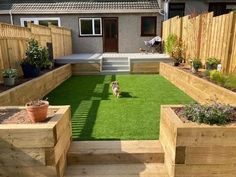 a dog sitting in the middle of a yard with grass and wooden planters on either side