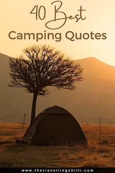 a tent and tree with the words 40 best camping quotes