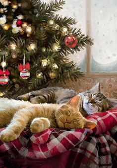 two cats are sleeping on a blanket in front of a christmas tree with baubs