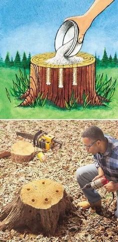 two pictures, one shows a man cutting down a tree stump and the other shows an image of a person using scissors to cut wood