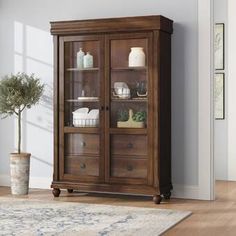 a tall wooden cabinet with glass doors and drawers on top of it next to a potted plant