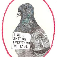 Quote Of The Week, E Card, A Sign, Art Paint, 그림 그리기, Pigeon, Make Me Smile, Line Art, Illustration Design