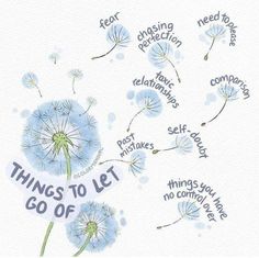 a dandelion with the words things to let go off