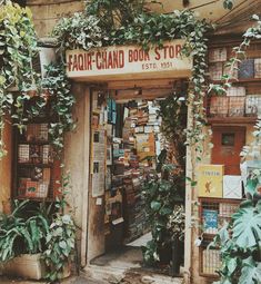 a book store with lots of books and plants