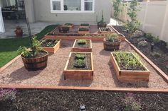 an outdoor garden area with various plants in wooden boxes and graveled ground, next to a white house