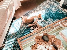 a living room with a glass coffee table filled with seashells and other items