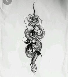 a snake and rose tattoo design