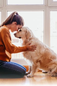 a woman sitting on the floor petting a dog's face next to a window