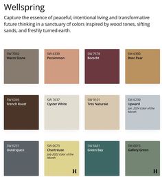 the color scheme for wellspring is shown in several different colors and font options