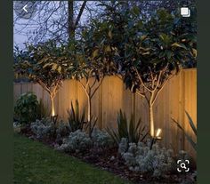 a fence with some lights on it in the middle of a grassy area next to trees