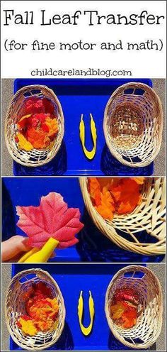 fall leaf transferer for fine motor and math practice with leaves in baskets on a blue tray