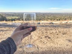 a person holding a glass of wine in their hand on top of a hill overlooking the desert