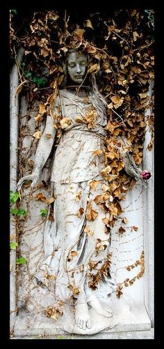 the statue is surrounded by vines and leaves