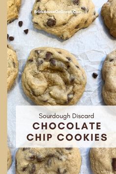 chocolate chip cookies on parchment paper with the words sourdough discard above them