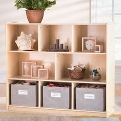 a wooden shelf with three bins and some plants in it on top of a carpeted floor