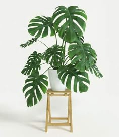 a potted plant sitting on top of a wooden stand