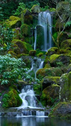 a small waterfall in the middle of a forest with moss growing on it's sides