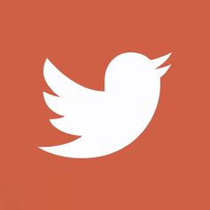 a white twitter logo on an orange background