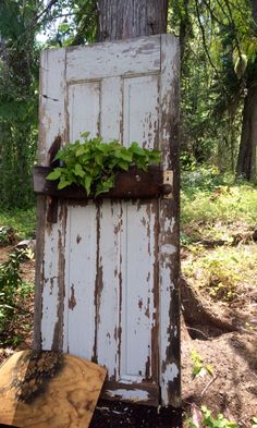 an old door with plants growing out of it