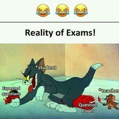 a cartoon cat laying on the floor next to some text that reads reality of exam