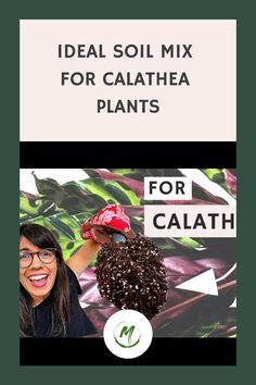 a woman holding up a plant with the words ideal soil mix for calathea plants