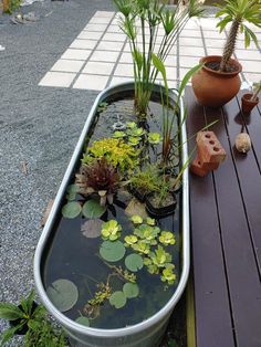 an empty tub filled with water and plants on top of a wooden table next to a potted plant