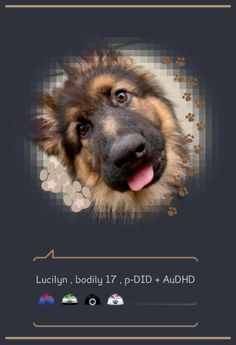 a german shepherd dog is looking at the camera with his tongue out and it's head