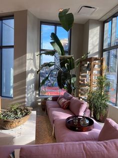 a living room filled with lots of furniture and large windows next to a planter