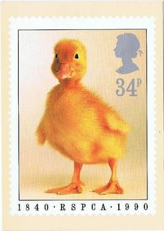 a postage stamp with a duck on it's face and an image of a child's head