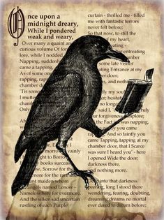 a black bird sitting on top of a book with an open page in it's beak