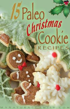 the cover of 15 paleo christmas cookies recipe book with holly leaves and gingerbreads