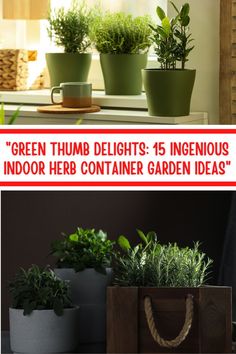 there are three different types of plants in the same potted planter, and one is green thumb delights 15 ingenious indoor herb container garden ideas