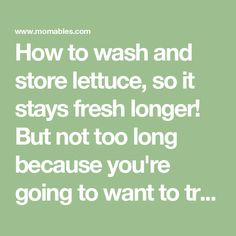 the words how to wash and store lettuce, so it stays fresh longer but not too long because you're going to want to try