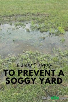 there is a puddle in the grass that says 6 smart ways to prevent a soggy yard