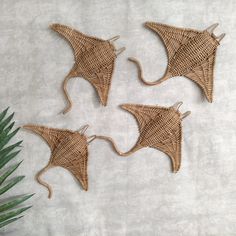 three rattan wall hangings with palm leaves